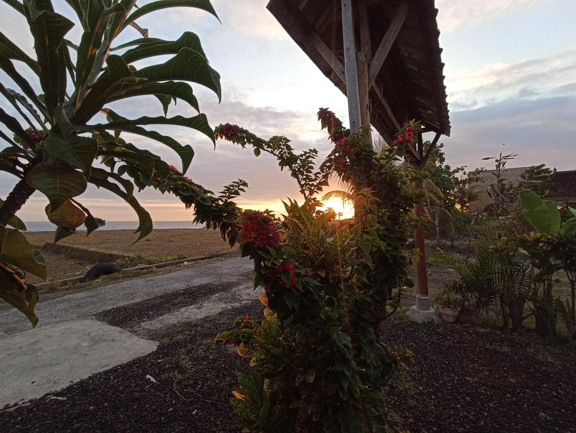 JembranaAyolah Surf House &Surf Camp公寓 外观 照片